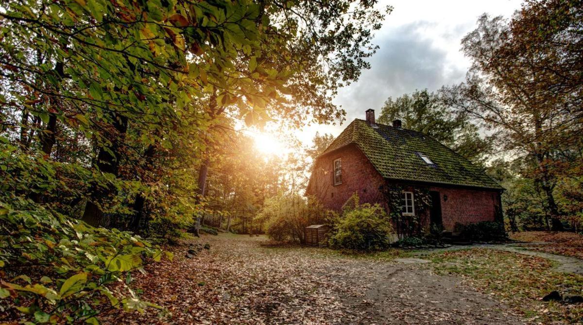 Forsthaus - Gut Thansen Soderstorf Exterior photo